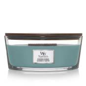 Woodwick geurkaars ellipse, evergreen cashmere